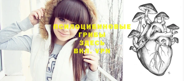 винт Алзамай