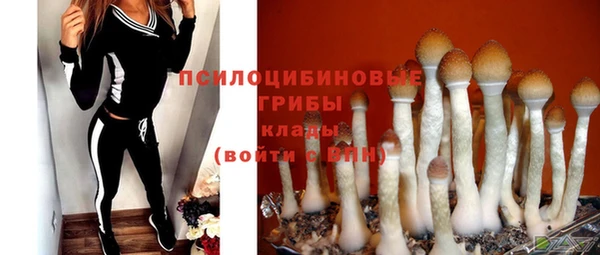 тгк Сосновый Бор