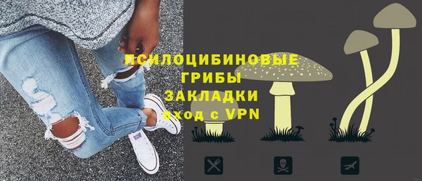 винт Алзамай