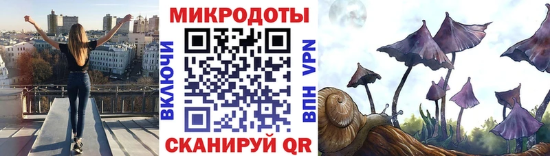 как найти закладки  сайты даркнета клад  Галлюциногенные грибы MAGIC MUSHROOMS  Дмитров 