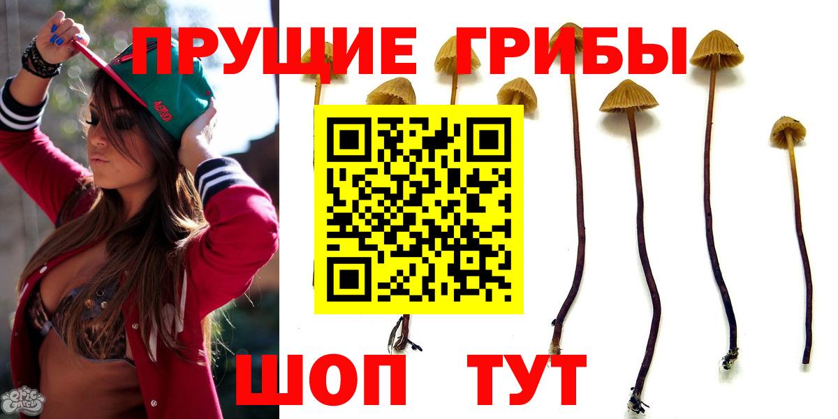 Псилоцибиновые грибы GOLDEN TEACHER  Вход с VPN  Псилоцибиновые грибы GOLDEN TEACHER  Дмитров 